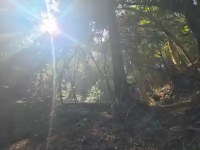 大龍寺(兵庫県)