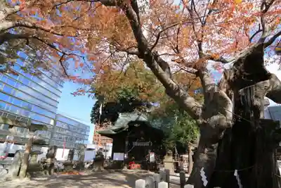 阿邪訶根神社の本殿・本堂