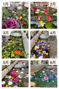 犀川神社の手水舎(2021年12月21日(火) 23時01分07秒投稿)