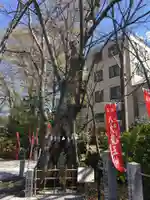 秩父今宮神社のその他建物