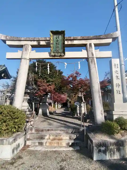 杉之木神社(滋賀県)