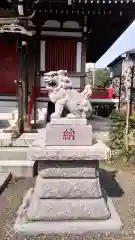 関根神社の狛犬