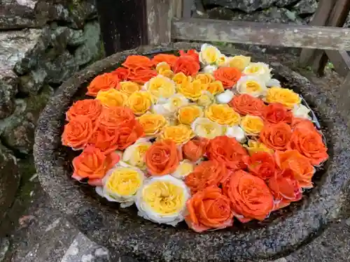 丹生都比売神社の手水舎