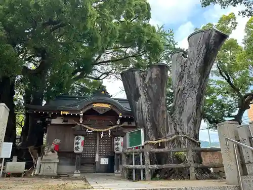 春日神社(兵庫県)