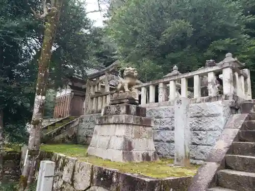 大國主神社の狛犬