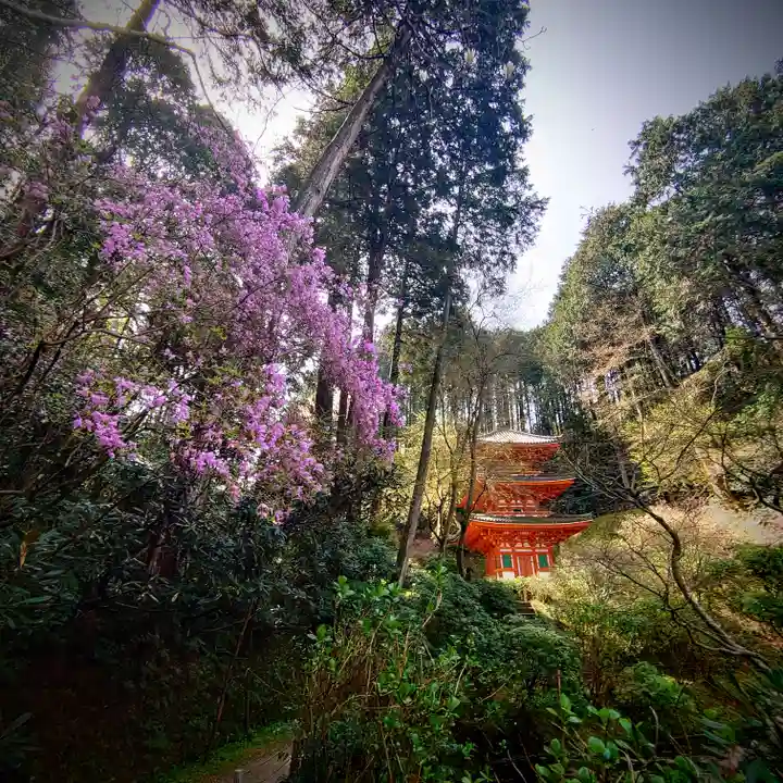 岩船寺(京都府)