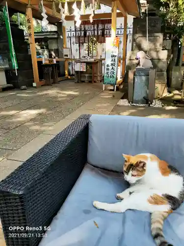 戸越八幡神社の動物