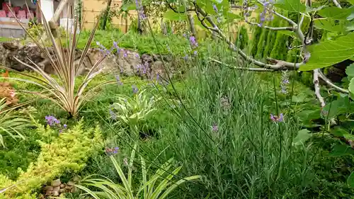 寿量山　速成寺の庭園