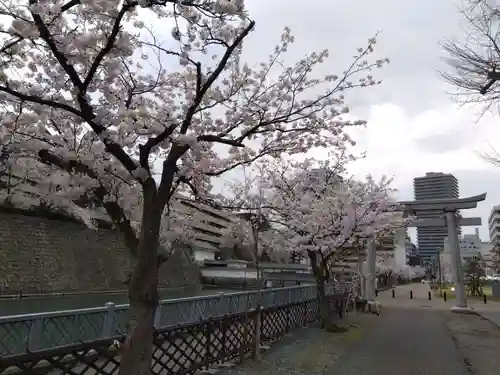 福井神社(福井県)