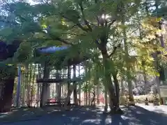 鳳仙寺の自然