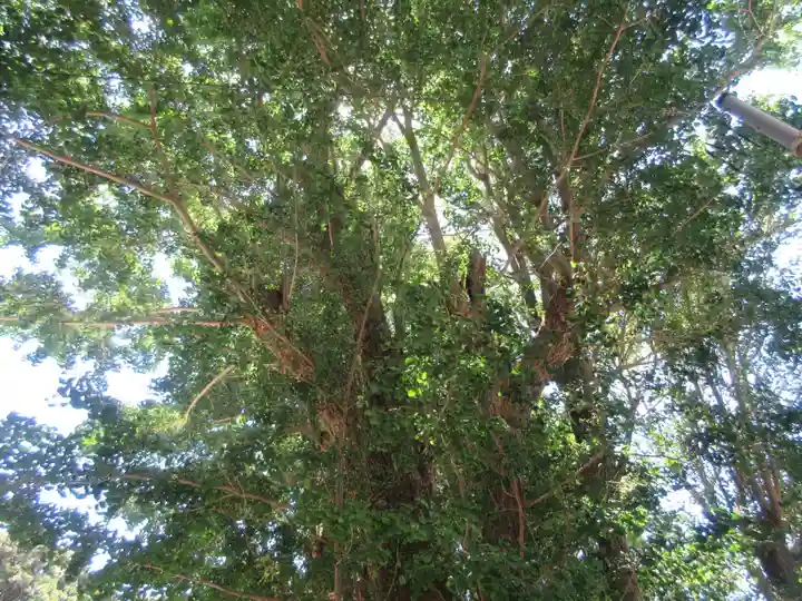 海南神社(神奈川県)
