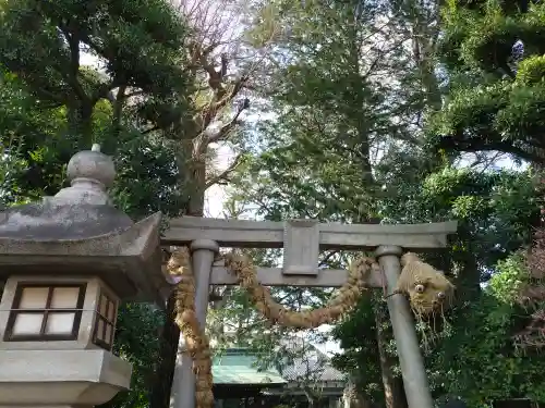 奥澤神社(東京都)