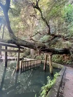 鹿島神宮(茨城県)