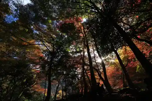 鰐淵寺のその他建物
