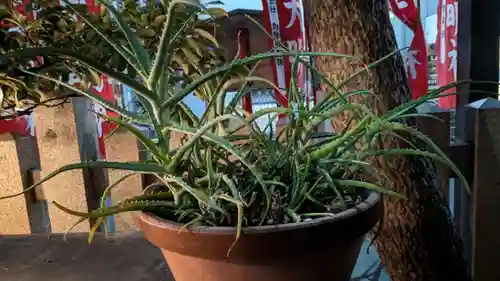 新世界稲荷神社の庭園