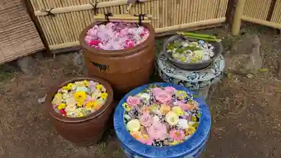 多賀神社の手水舎