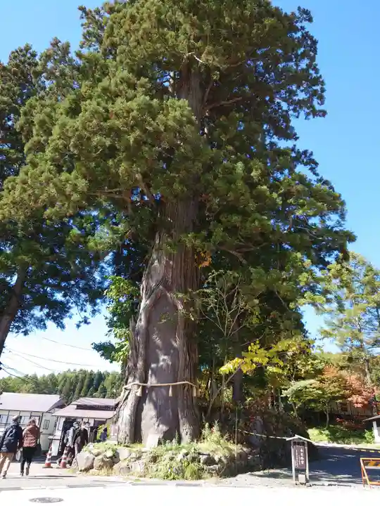 戸隠神社中社(長野県)
