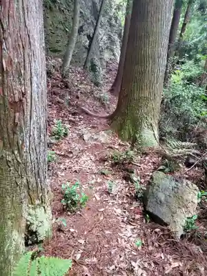 岩戸神社(栃木県)