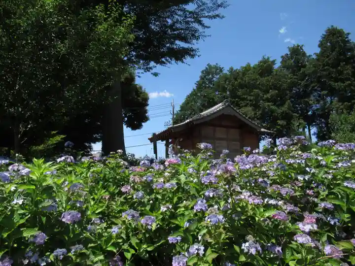 菅原神社(千葉県)