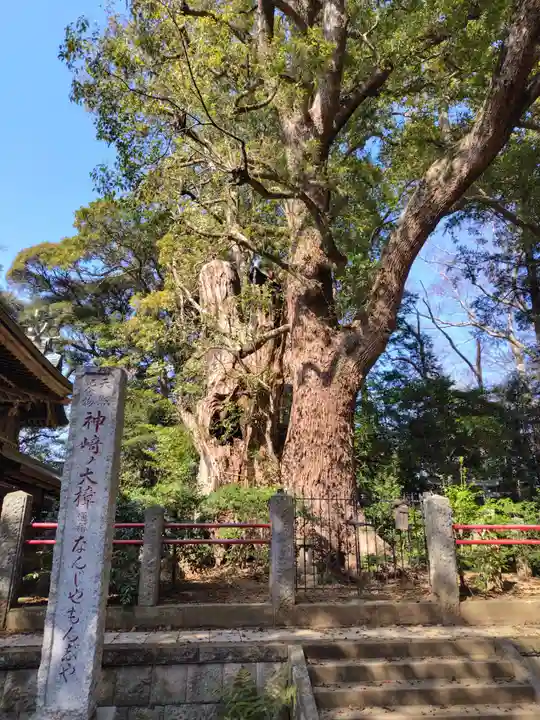 神崎神社(千葉県)