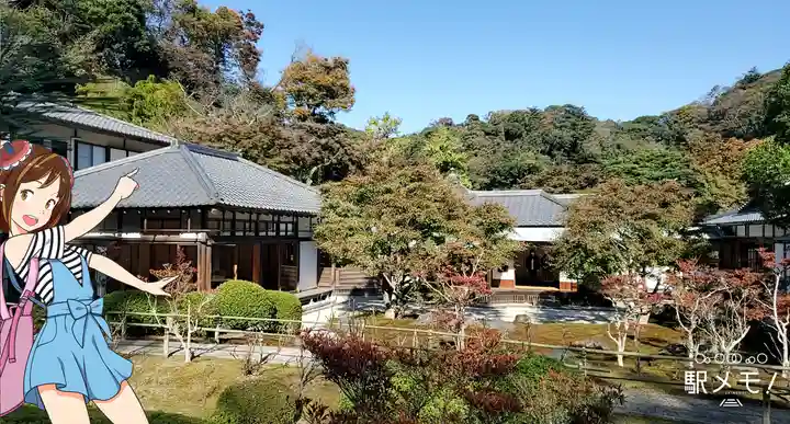 長壽寺(長寿寺)の景色