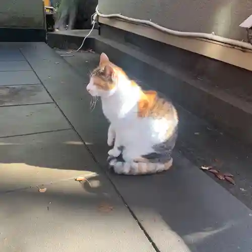 戸越八幡神社の動物