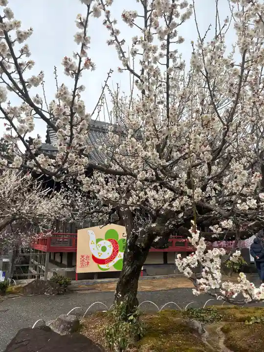 岩津天満宮(愛知県)