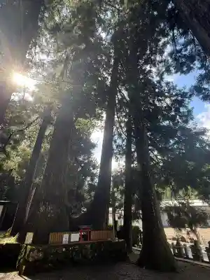 室生龍穴神社(奈良県)