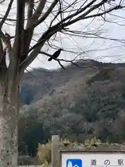 新宮八幡神社(兵庫県)