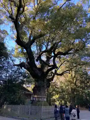 熱田神宮(愛知県)