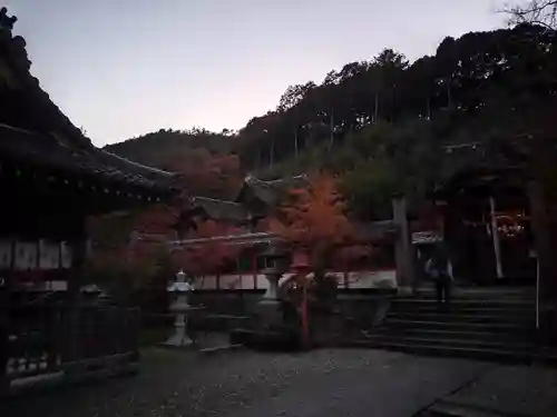 鍬山神社(京都府)