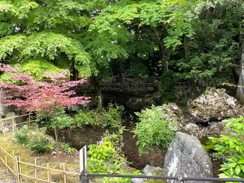 聖寳寺の庭園