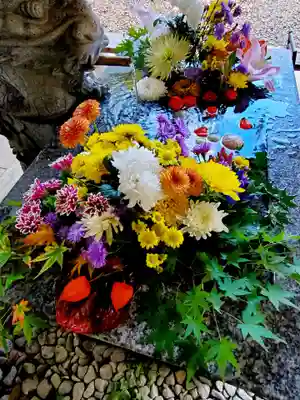 滑川神社 - 仕事と子どもの守り神の手水舎
