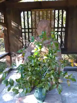 南宗寺(大阪府)