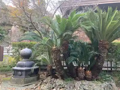 妙本寺(神奈川県)