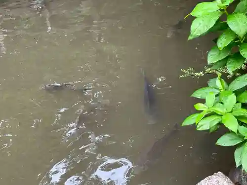 諏訪神社(三重県)