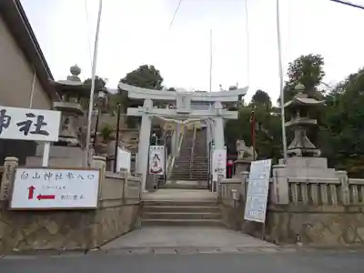 藤ノ木白山神社の鳥居