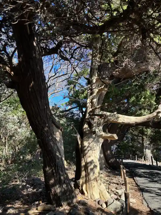 大瀬神社の{uncategorized: "未分類", other: "その他", undefined: "問題あり", building: "その他建物", grave: "お墓", sacred_gate: "鳥居", guardian: "狛犬", statue: "像", buddha: "仏像", history: "歴史", nature: "自然", garden: "庭園", animal: "動物", pagoda: "塔", temizu: "手水舎", mountain_gate: "山門・神門", sanctuary: "本殿・本堂", subordinate: "末社・摂社", art: "芸術", scenery: "景色", jizo: "地蔵", ema: "絵馬", goshuin: "御朱印", omikuji: "おみくじ", items: "授与品その他", amulet: "お守り", goshuincho: "御朱印帳", eats: "食事", festival: "お祭り", votive_dance: "神楽", shichigosan: "七五三参", wedding: "結婚式", experience: "体験その他", initially: "初詣", around: "周辺", anti_infection: "感染症対策"}
