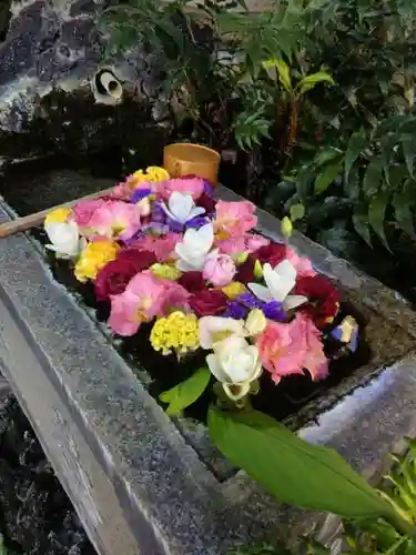 本郷氷川神社(東京都)