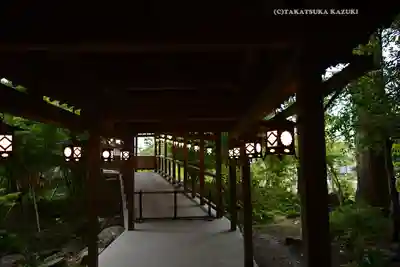 川越氷川神社(埼玉県)