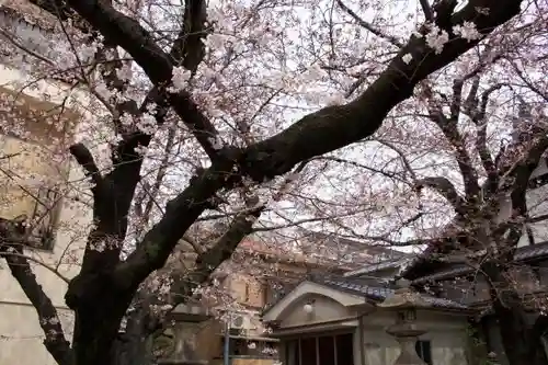 墨染寺（桜寺）のその他建物