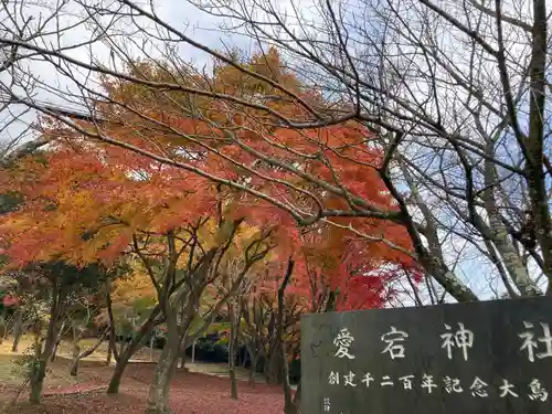 愛宕神社(茨城県)