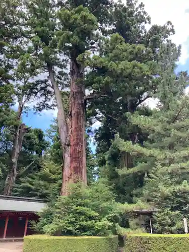 香取神宮(千葉県)