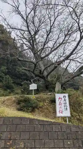 舌根寺廃寺・力寿の桜のその他建物