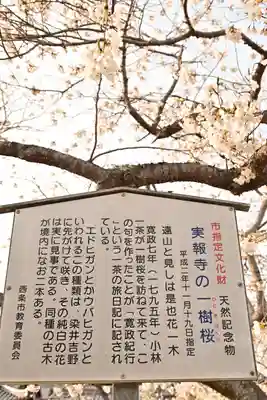 実報寺(愛媛県)