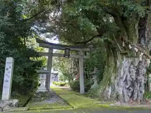阿志都彌神社・行過天満宮の自然(2021年09月29日(水) 00時20分48秒投稿)