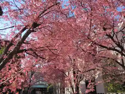 寿福寺(東京都)