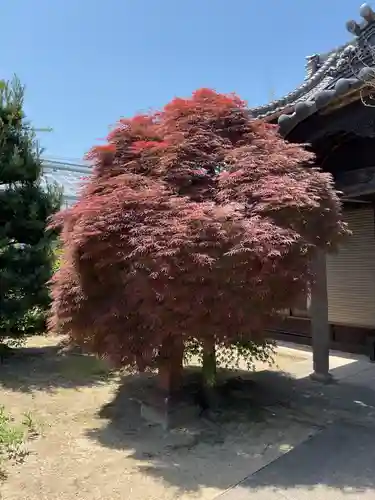 無量山 祖山寺(愛知県)