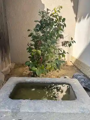 光触寺の手水舎