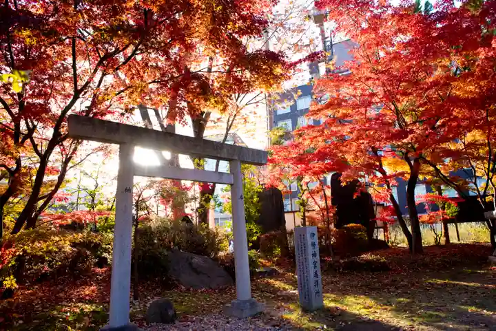 四柱神社の鳥居